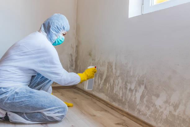 Licensed Commercial Mold Remediation service in Martinsville, NJ - WQB Mold Removal