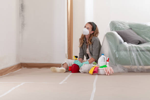 Reliable Commercial Mold Remediation contractor in Martinsville, NJ by WQB Mold Removal
