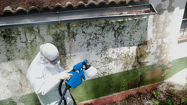 Top rated local Commercial Mold Remediation specialists in Martinsville, NJ